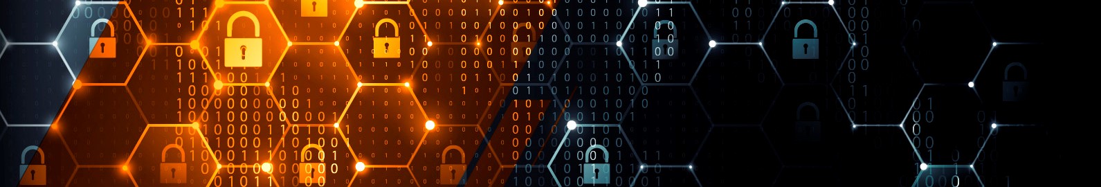 ciberseguridad