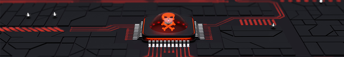Imatge principal